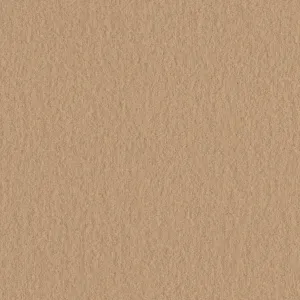 Full Wool - Seashell - 4008 - 20 - Half Yard